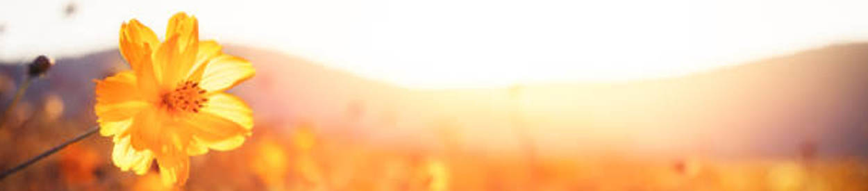 #nivo1 HEART Homeschool Group