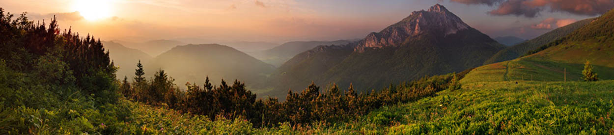 #nivo2 Helping families homeschool legally in South Carolina